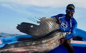 Fish Tobago Guesthouse